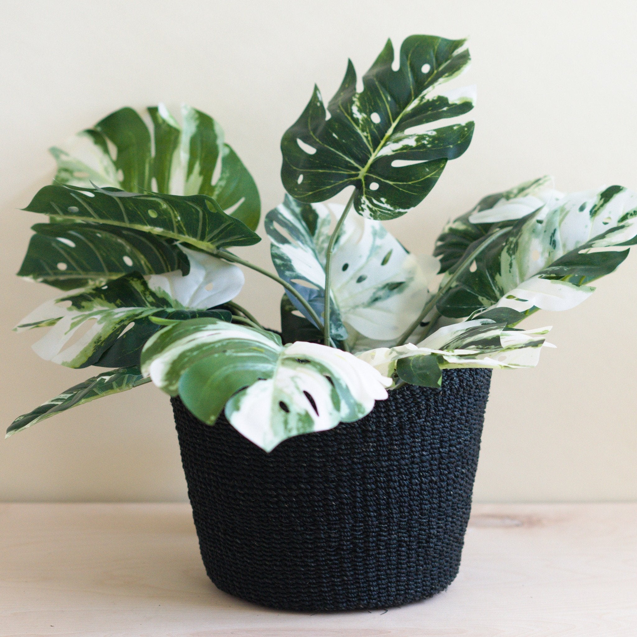 Black Scalloped Basket