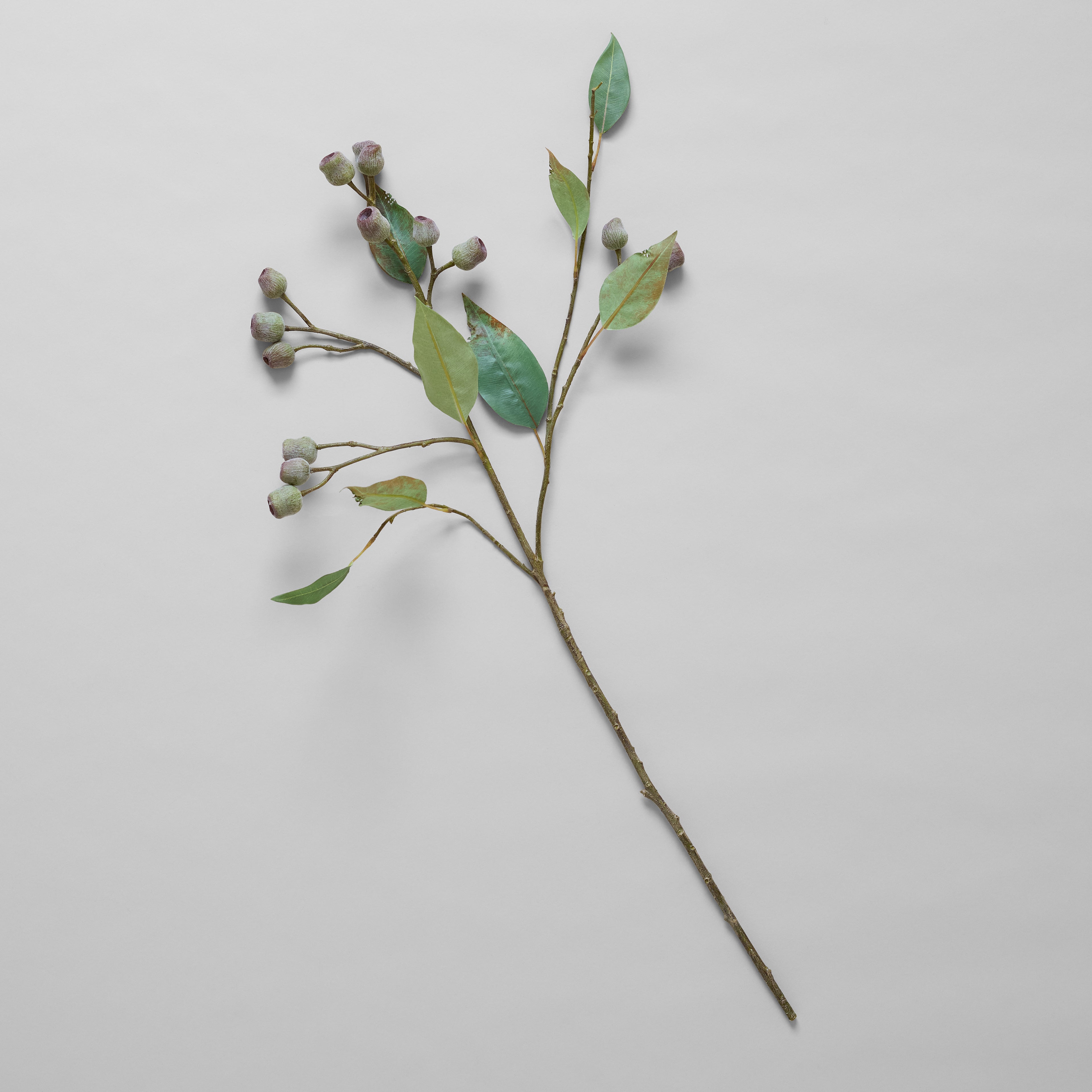 EcoFaux Eucalyptus Pod Branch