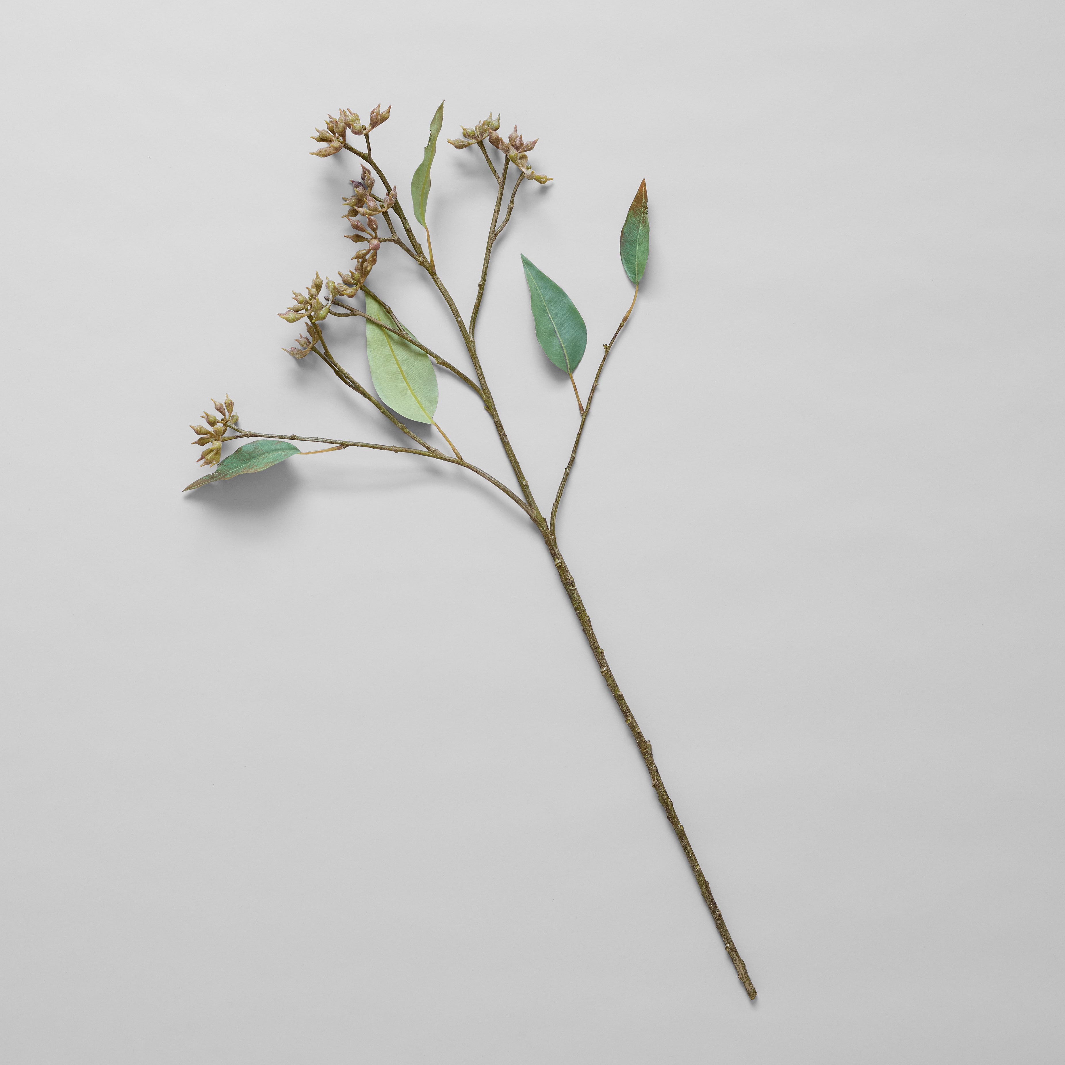 EcoFaux Eucalyptus Seed Branch