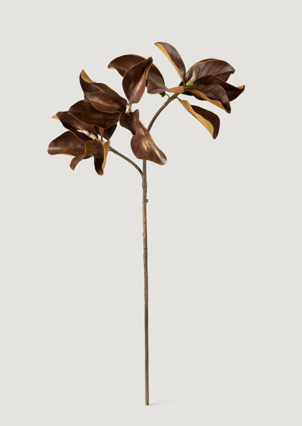 Aged Fake Magnolia Leaf Branch - 38.5"