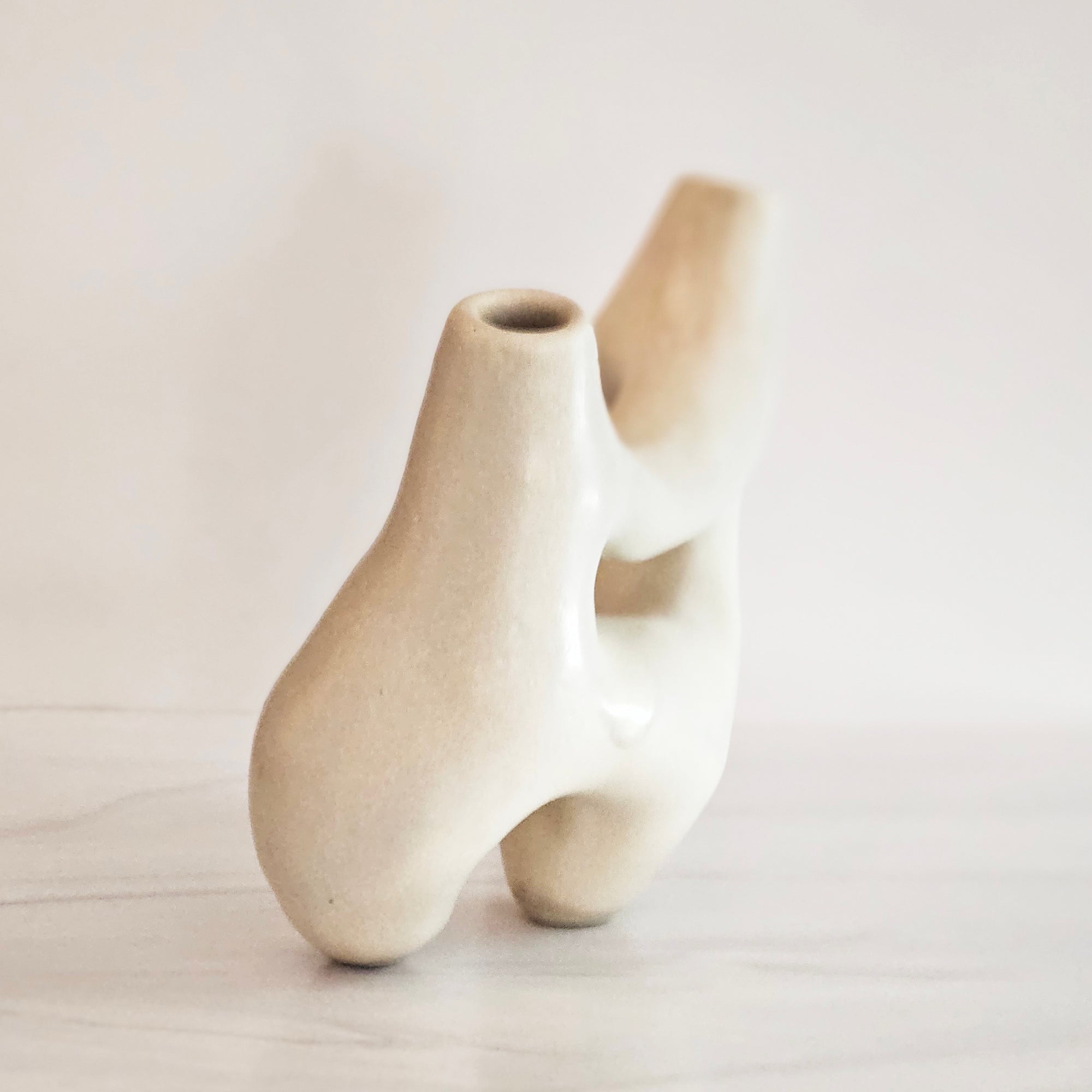 natural organic shape vase