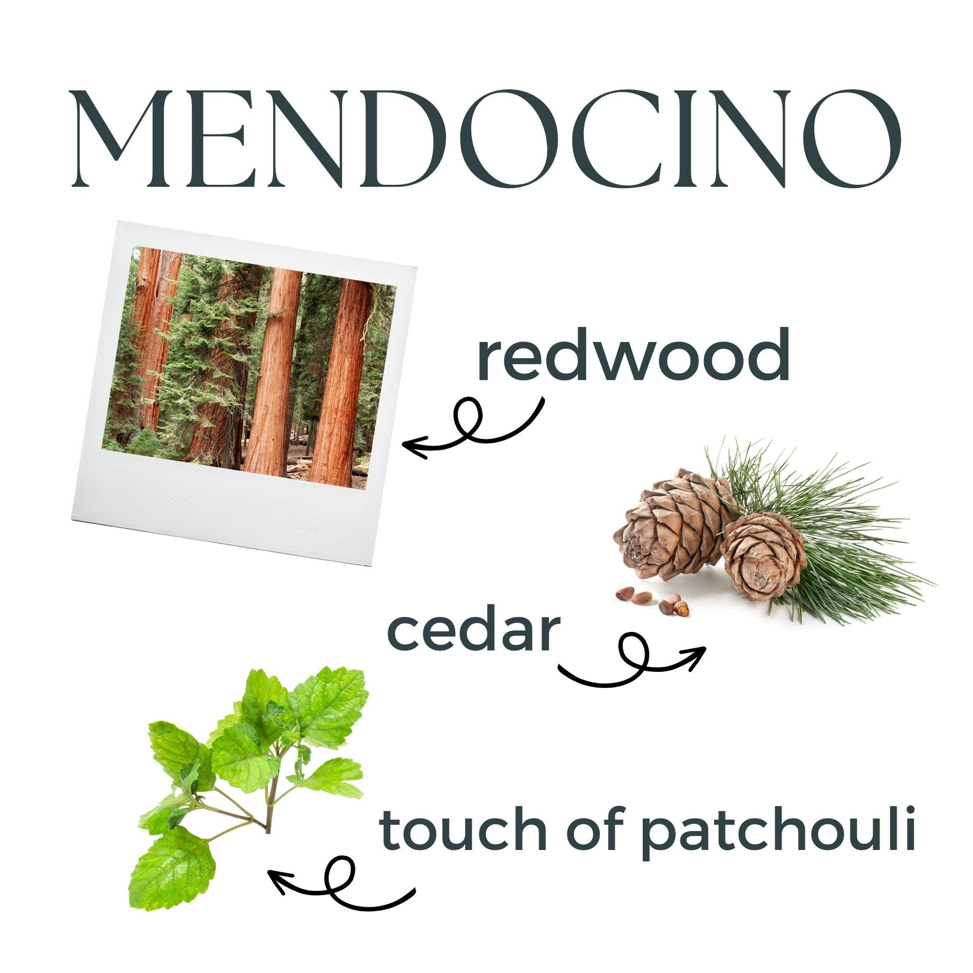 Mendocino scent description