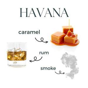 Havana scent description