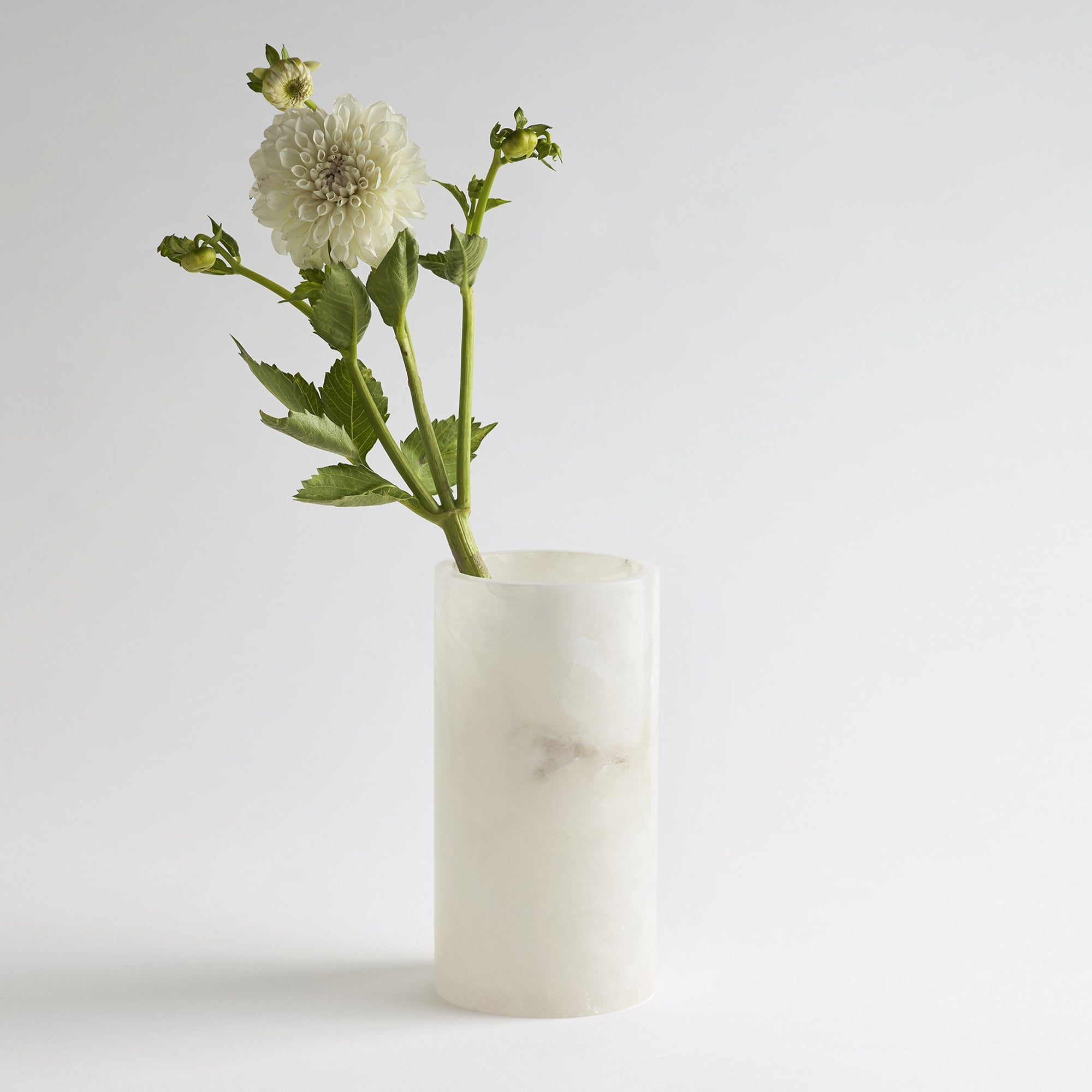 Large alabaster vase